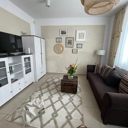 Studio W Rynku Grudziądz Dış mekan fotoğraf
